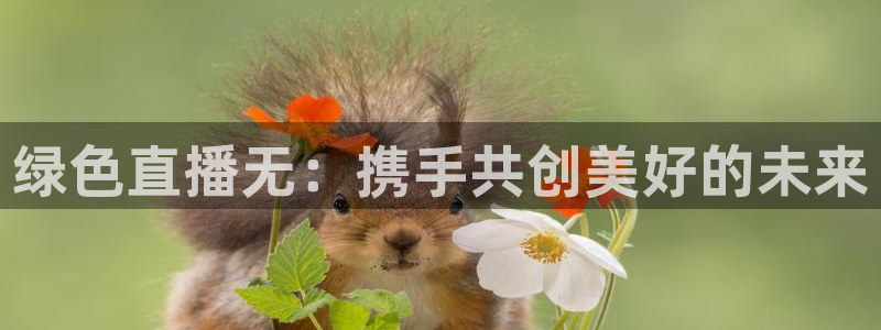 jrkan体育在线直播免费观看：绿色直播无：携手共创美好的未来