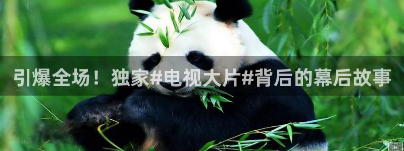 jrkan nba直播：引爆全场！独家#电视大片#背后的幕后故事