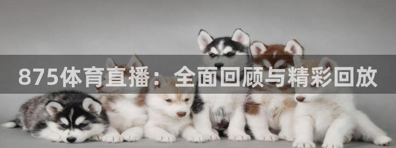 jrkan直播：875体育直播：全面回顾与精彩回放