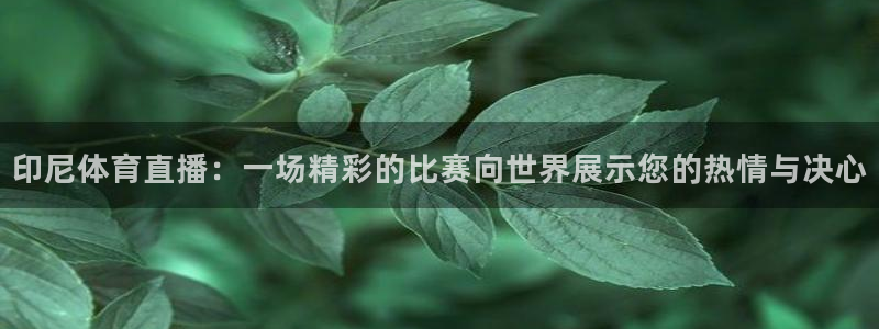 jr看球网直播nba：印尼体育直播：一场精彩的比赛向世界展示您的热情与决心