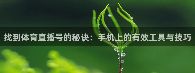 jrkan直播nba直播：找到体育直播号的秘诀：手机上的有效工具与技巧